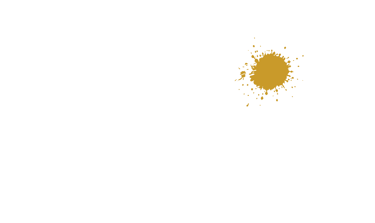 Estampasso logo